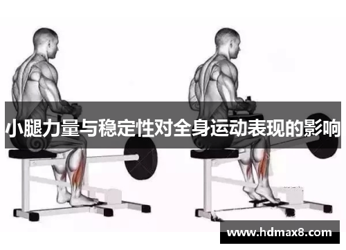 小腿力量与稳定性对全身运动表现的影响